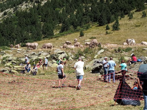 Coneixem la ramaderia de muntanya