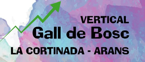 Cursa Vertical Gall de Bosc