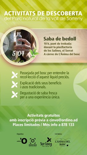 Descobreix la saba de bedoll