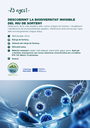 Descobrint la biodiversitat invisible del riu de Sorteny