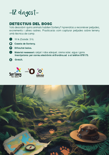 Detectius del bosc