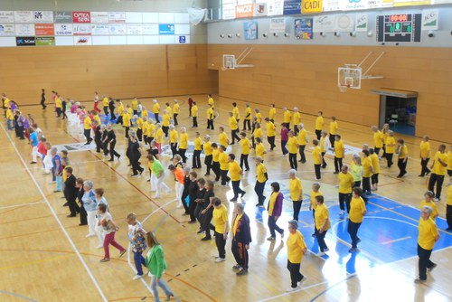 Diada esportiva de la gent gran