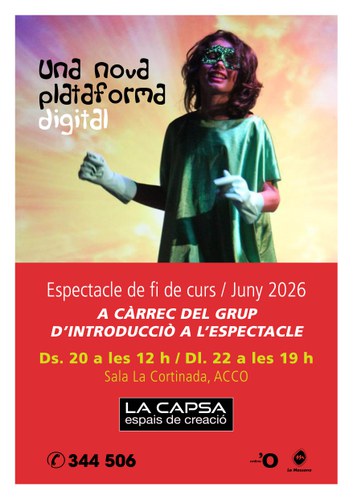 Espectacle de fi de curs - Grup d'introducció a l'espectacle