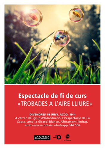 Espectacle 'Trobades a l'aire lliure'