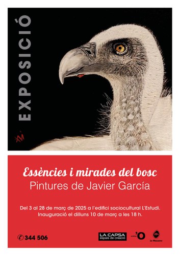 Exposició Essències i mirades del bosc de Javier García