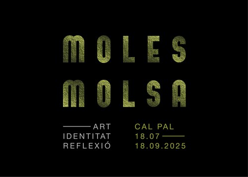 Exposició MOLES MOLSA