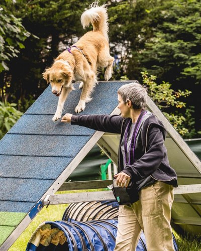 Inauguració recinte esportiu d'agilitat canina