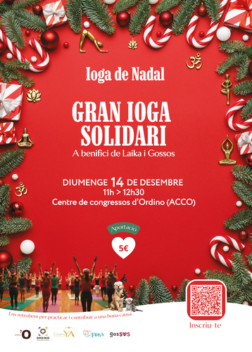 Ioga de Nadal