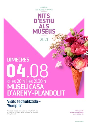 Nits d'Estiu als Museus