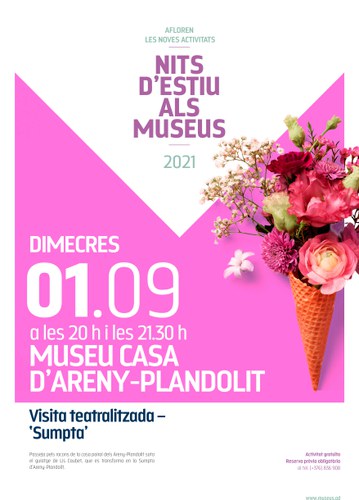 Nits d'Estiu als Museus