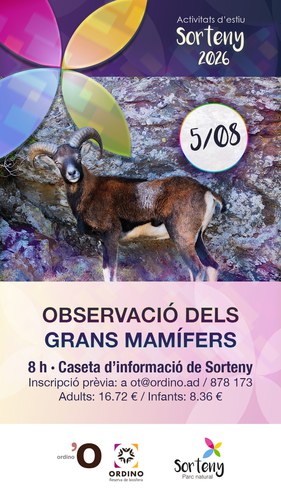Observació dels grans mamífers