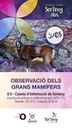 Observació dels grans mamífers