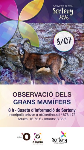 Observació dels grans mamífers