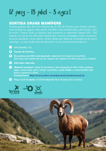 Sortida d'observació de grans mamífers