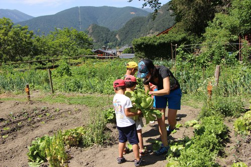 Taller de cuina sostenible