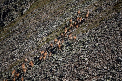 Taller participatiu per la candidatura "Ordino, territori de la Biosfera"