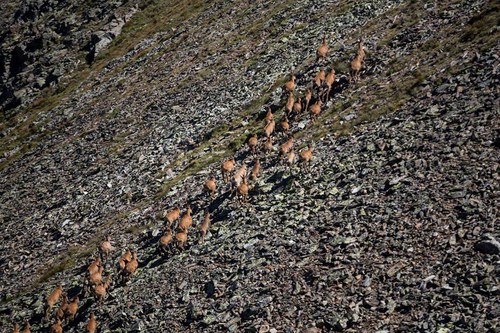 Taller participatiu per la candidatura "Ordino, territori de la Biosfera"