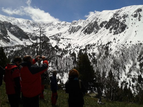 V Jornada de la biodiversitat d'Andorra 