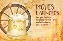 Visites a les moles farineres
