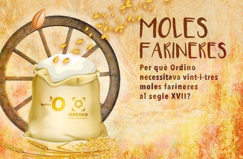 Visites a les moles farineres