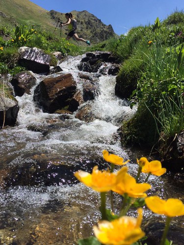 XIIè Seminari Internacional de Gestió i Conservació de la Biodiversitat