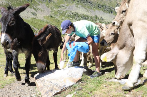 Agricultura i Turisme donen a conèixer l'activitat ramadera a la vall