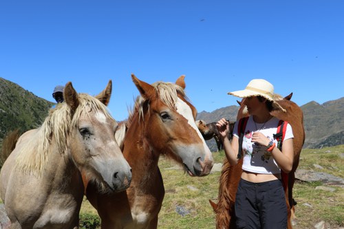 Descobrim la ramaderia de muntanya a les saleres de l'Estanyó