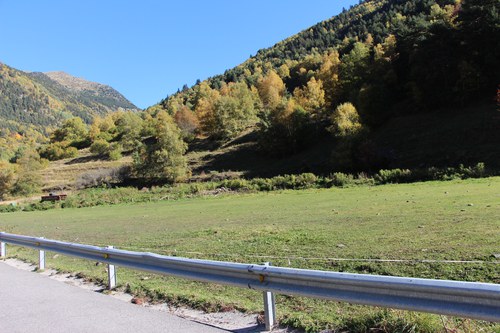 La nau forestal al Serrat per a l'auto abastiment de biomassa serà una realitat a la primavera