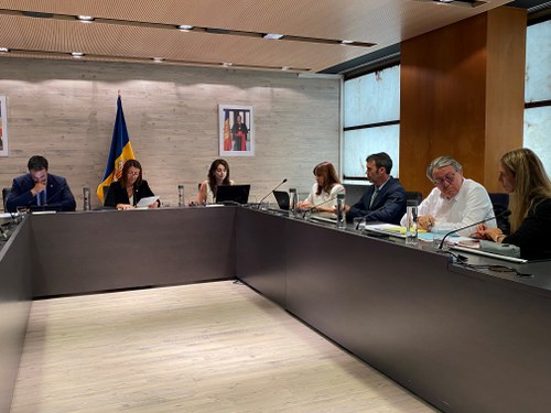 El Comú confia a publicar el concurs del sociosanitari enguany i veu amb bons ulls ubicar-lo a la Cortinada