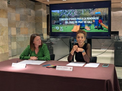 El Comú convoca un concurs nacional d'idees per a la renovació integral del parc de Prat de Call