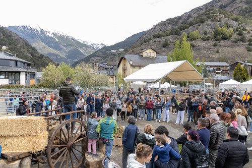 Èxit de participació en la tercera Fira del Bestiar d’Ordino