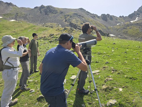Èxit en la primera sortida d'observació de grans mamífers de Sorteny