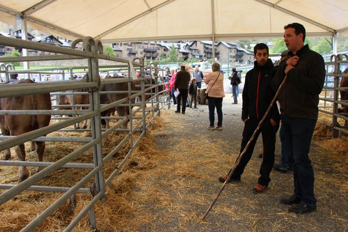 Homenatge a les cases ramaderes, passat, present i futur de la vall