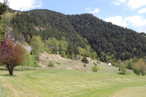 Neteja del bosc de Riambert per a la prevenció d'incendis