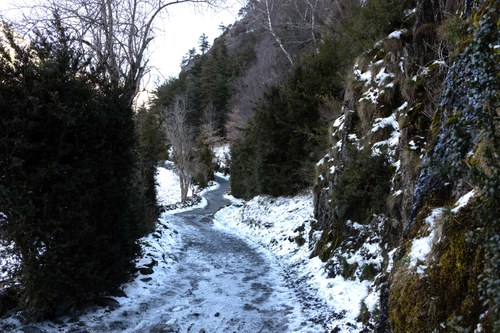 Nova jerarquia de prioritats de pas a la xarxa de camins
