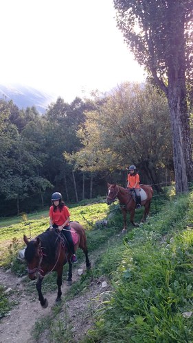 Obertes les inscripcions per a les Activitats Joves d'estiu