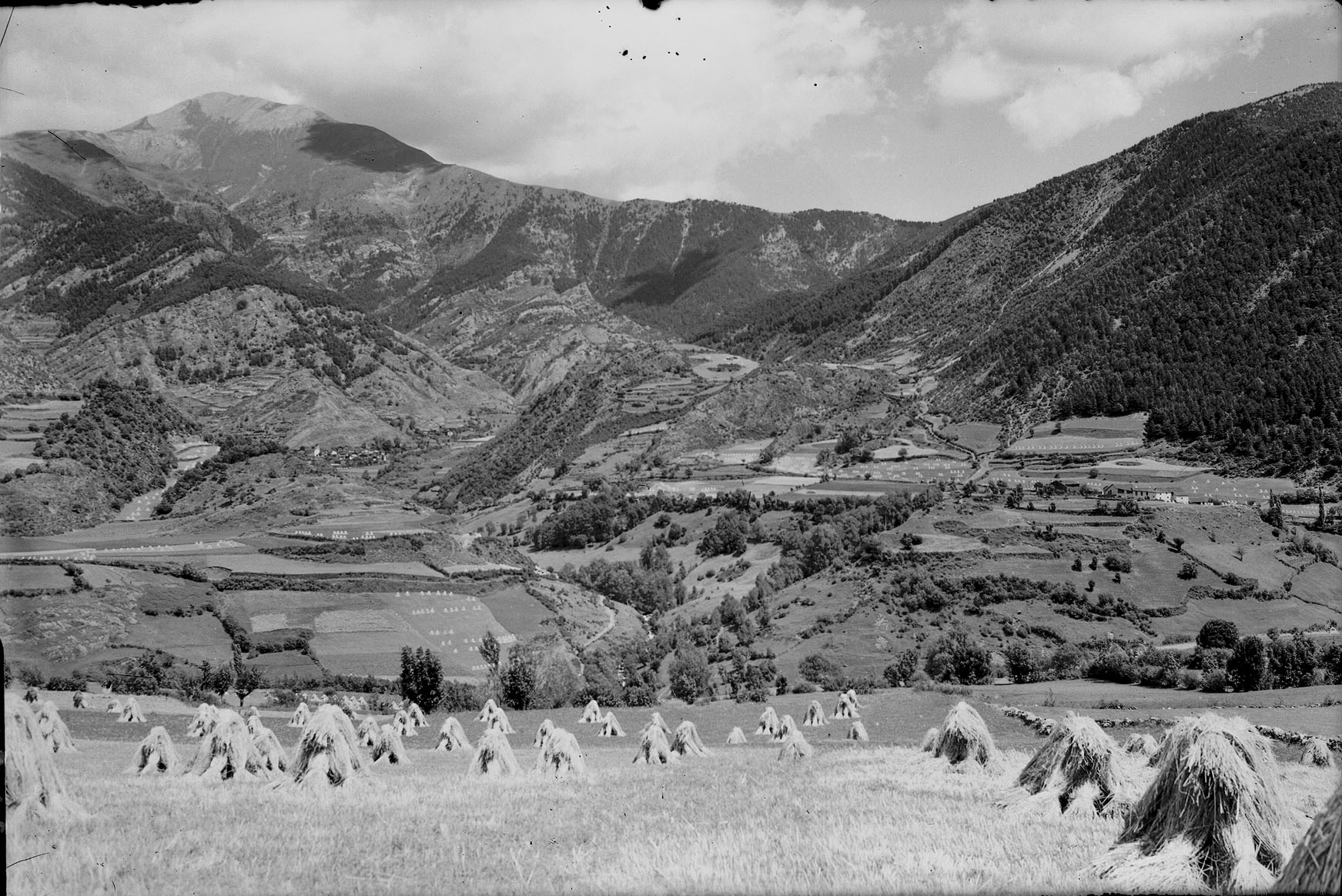 ordino4